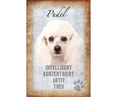 Schatzmix Hunde steckbrief: Pudel - intelligent, konzentriert, aktiv, True Metal Sign deko Schild Blech Garten