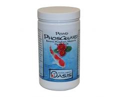 Seachem Pets-N-Us Teich PhosGuard Wasser Klimaanlage,