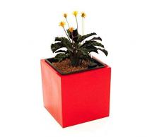 Pflanzkübel Blumenkübel Blumentopf Fiberglas Quadrat LxBxH 30x30x30cm hochglanz rot.