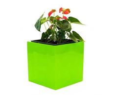 Pflanzkübel Blumenkübel Blumentopf Fiberglas Quadrat LxBxH 48x48x48cm hochglanz avocado grün.