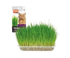 Karlie Dekoration kleine bunte Korallen L: 8,5 cm B: 5 cm H: 11,5 cm