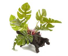 Pet Ting Dekofigur Bergreff, für Fische und Reptilien