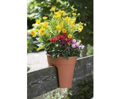 KHW 34137 Blumentopf Flowerclip, 3-er Set, terracottafarben