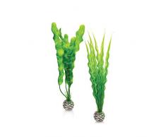biOrb 46056 Pflanzenset M grün | Aquaristik | Aquarium | Dekoration