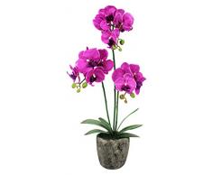 greenbroker Limited 98 F301 r-135 # Orchidee in runder Zement Topf, deep pink