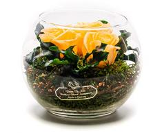 Rosen-Te-Amo Stilvoller Blumenstrauß aus 3 konservierte pfirsichfarben Blumen in der Vase; Infinity Rosen im Glass: schön handgefertigt aus 100% echtes Bindegrün - 3 Jahre haltbar ohne Wasser