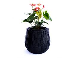 Pflanzkübel Blumenkübel Blumentopf rund konisch Polyrattan D35xH32cm schwarz.