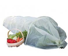 Haxnicks Glasglocke im GIANT Tunnel