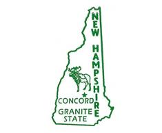 New Hampshire State 2D PVC Kühlschrank Collector s Souvenir Magnet Jnks