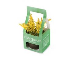 Closer 2 Nature Artificial Flower, Künstliche Mini Glockenblumen Pflanze in Geschenk Box, 18 cm, gelb