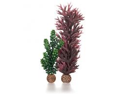 OASE biOrb Seeperlen & Seetang - 2-teilige Aquarium-Deko in Form von Unterwasser-Pflanzen, Zubehör fürs Aquarium-Becken, in Olivgrün