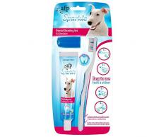 AFP AFPH03355 Zahnbürste mit Vanillegeschmack