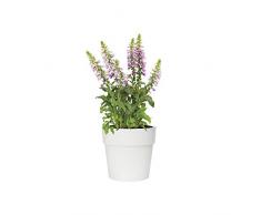 Elho Vibia Straight Rund 30 - Blumentopf - Weiss - Draußen - Ø 30 x H 27.7 cm