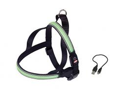 Nobby NORWEGER Geschirr FLASH MESH grün S: L: 50-65 cm + 48 cm; B: 25 mm