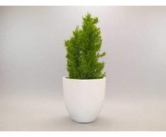 Pflanzkübel Blumenkübel Blumentopf Fiberglas rund konisch D30xH30cm perlmutt weiß.