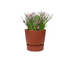 Elho Greenville Rund 40 - Blumentopf - Brique - Draußen - Ø 39 x H 36.8 cm