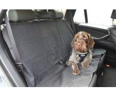 Ancol Autoschondecke