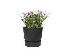 Elho Greenville Rund 30 - Blumentopf - Lebhaft Schwarz - Draußen - Ø 29.5 x H 27.8 cm