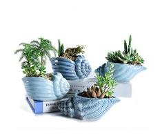Sun-E 14 cm Blue Conch Ocean Series Keramikboden Serien-Set Sukkulenten Pflanztopf Kaktus Blumentopf Blumentopf Blumentopf Pflanzgefäß mit Drainageloch Idee 4 im Set
