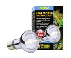 Exo Terra Halogen Basking Spot Breitspektrum Tageslichtlampe 50W