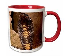 3dRose 140246_5 Mug Becher, keramik, rot/weiß