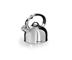 Wasserkocher aus poliertem Stahl