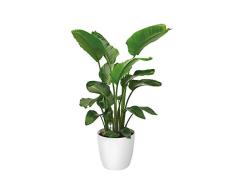 Elho Brussels Rund Rollen 47 - Blumentopf - Weiss - Drinnen - Ø 47 x H 43 cm