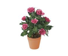 Closer To Nature Kunstpflanze 26 cm Maulbeer Rosa rose Plug, rosa - dusty pink, 20x20x26 cm