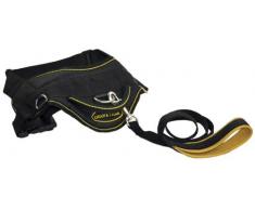 Dean & Tyler Bundle DT Hundegeschirr mit passender Edelstahl Karabinerhaken gepolstert, Puppy Leine, schwarz/gelb