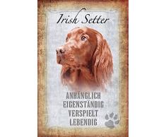 Schatzmix Hunde steckbrief: Irish Setter - Anhänglich, eigenständig, verspielt, lebendig Metal Sign deko Schild Blech Garten