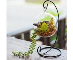 Charming klar aus Glas zum Aufhängen Übertopf Terrarium Globe/Tee Licht Kerzenhalter Laterne w/stehen - MyGift