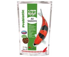 sera Koi All Seasons Probiotic 500g (für Koi ab 15cm) das Spezialfutter mit Probiotika dadurch wachsen Koi schnell & ausgewogen, erkranken seltener bzw. das Wasser wird weniger belastet