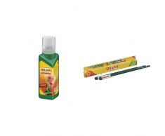 Seramis Flüssiger Pflanzendünger mit Dosierhilfe für alle Kakteen und Sukkulenten, Vitalnahrung, 200 ml, Grün & Gießanzeiger für alle Topfpflanzen, 2 Stück, Höhe: 26,2 cm, Gießanzeiger, Grün