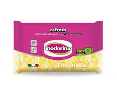 Inodorina Reinigungstuch Citron.