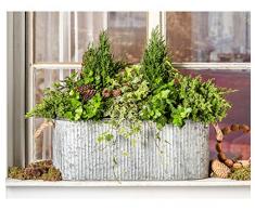 Dehner Pflanzgefäß mit Henkel, ca. 50 x 20 cm, Zink, silber