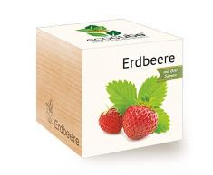 Feel Green Ecocube Erdbeere, Bio Samen, Nachhaltige Geschenkidee (100% Eco Friendly), Grow Your Own/Anzuchtset, Pflanzen Im Holzwürfel, Made in Austria