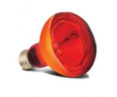 Arcadia SBR50 Basking Solar Infra-Red Wärme Lampe