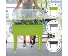 Zanvic Spa Urbanischer Garten Pistazie