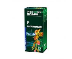 JBL ProScape P Macroelements 2111800 Phosphor - Pflanzendünger für Aquascaping, 250 ml