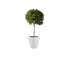 Elho Pure Round 60 - Blumentopf - Weiss - Drinnen & Draußen - Ø 59.1 x H 53.6 cm