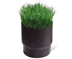 RainBird SC Sod Cup für 8005 Typenreihe Versenkregner, Schwarz, 10 x 9 x 9 cm