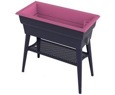 NOOR Hochbeet Calipso MAXI 40L I 81 x 39 x 80 cm I Blumenkasten mit 40 l Volumen I Rückenschonende Arbeitshöhe I Wasserfestes Material I Pflegen Sie ganz einfach Ihre Pflanzen & Setzlinge I Himbeere