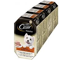 Cesar Hundefutter Nassfutter Klassiker Selektion, 24 Schalen (6 x 4 x 150g)