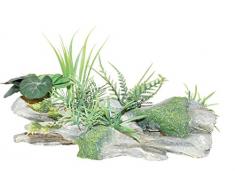 Wave A8011884 Rainforest Holz mit Pflanzen, 24 x 9.4 x 9.5 cm