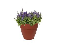 Elho Vibia Campana Rund 20 - Blumentopf - Brique - Draußen - Ø 20 x H 16.7 cm