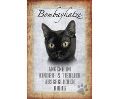 Schatzmix Katze steckbrief: Bombay Katze - angenehm, Kinder und tierlieb, ausgeglichen, ruhig Metal Sign deko Schild Blech Garten