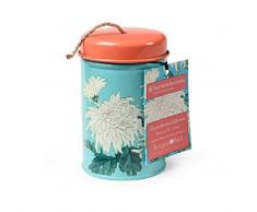 Burgon and Ball RHS Chrysanthemen Garten Zwirngarn in Einer Dose