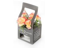 Closer 2 Nature Artificial Flower, Künstliche Mini Nelken Pflanze Pfirsich in Geschenk Box, 15 cm, mehrfarbig