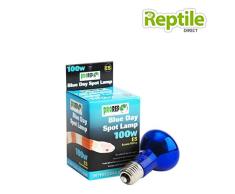 ProRep Spot, 100 Watt, blau Tag