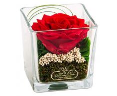 Rosen-Te-Amo – Infinity Premium Rose in hochwertiger Würfel Vase, 100% echte Dekorative-Pflanzen und Moose; Haltbare Blumen im Kubik-Glas als Geschenkidee